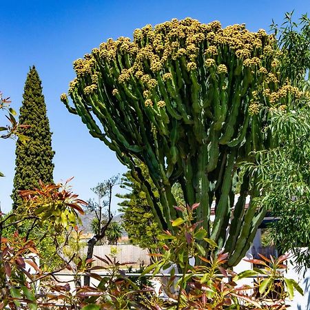 The Palms Boutique Resort Malaga - Adults Only Alhaurín de la Torre Εξωτερικό φωτογραφία