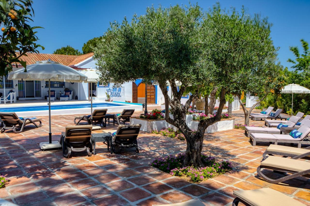 The Palms Boutique Resort Malaga - Adults Only Alhaurín de la Torre Εξωτερικό φωτογραφία